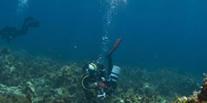 „Ionian islands“ diving tour „Ionian islands“ diving tour
