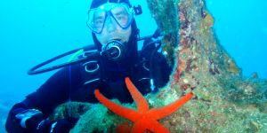 Diving and diving routes with m/y Agramer I Diving and diving routes with m/y Agramer I